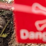 At least 58 states and territories contaminated by landmines, UN human rights chief says