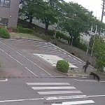 Bear injures four in residential area of Japan as annual number of attacks rises