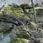 Archaeological sensation: Iron Age Celtic grave discovered in Hesse