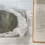 First Antarctic dinosaur fossil confirmed nearly 40 years after discovery