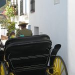Seven injured, including two children, after vehicle mounts bar terrace in Malaga
