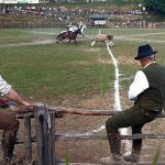 Lazio Maremma cowboys: tradition and innovation at Canale Monterano’s Riarto