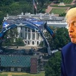 Donald Trump’s Freedom 250 / birthday cage fight event snubbed by celebrities
