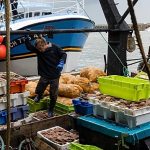 French fishermen gather in Cherbourg as sector faces down multiple challenges