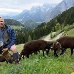 ‘Land of the fulfilled  farmers’: Why the grass seems to grow greener in Austria