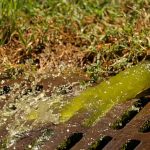 Trump vs algae: Viral reactions as fencing goes up around Lincoln Memorial Reflecting Pool