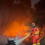 Zaragoza wildfire nears 12,000 hectares and is Spain’s biggest of the year