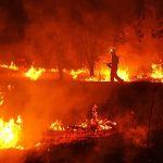 Spanish PM Sánchez calls out climate denial after devastating week of wildfires