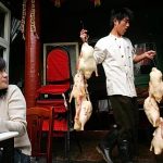 EU to probe Chinese Pekin duck imports as market-flooding row hots up