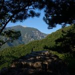 Mount Olympus seeks place on UNESCO World Heritage List