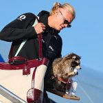Erling Haaland returns to Norway after World Cup exit with a strange new friend