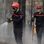 France suffers record wildfire destruction by mid-July