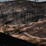 Firefighters battle major wildfire as thousands of hectares burn in central Spain