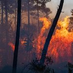 Southern Europe still battling wildfires as Spain declares national emergency in Madrid region