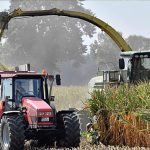 Degraded soils : Europe is losing more than €50 billion annually but AI could help