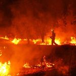 Who started the fire? Inside Europe’s arson intelligence gap