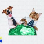 Dogs and cats at work: Yes or no? Here are Europe’s most pet-friendly countries