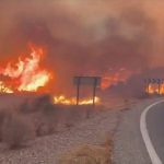 12 people killed as wildfires tear through southern Spain