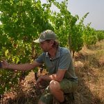 Wildfires near Bordeaux bring more troubles to France’s struggling wine industry
