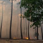 Evacuations ordered in Bordeaux suburbs as wildfires continue to ravage southern Europe