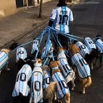 Dogs don Argentina shirts as World Cup fever grips Buenos Aires