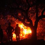 Drone footage captures massive Castellon wildfire in eastern Spain