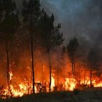 Thousands evacuated as fires creep towards Bordeaux while authorities scramble to fight flames near Madrid