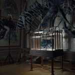 Jurassic fashion? T-Rex leather could reshape luxury industry says VML’s Dimitri Guerassimov