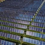 Why is Europe still wasting clean energy? Take our poll