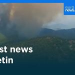 Latest news bulletin | July 25th, 2026 – Midday