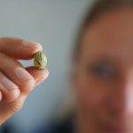 Spectacular find: 1,000-year-old Viking textile workshop unearthed