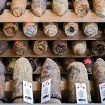 Europe’s devastating wildfires unveil deadly new threat – buried bombs from WWI and WWII