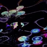 Bulgaria lights up its Black Sea coast with digital art festival