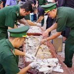 Vietnam discovers more than a tonne of concealed ivory illegally shipped from Africa