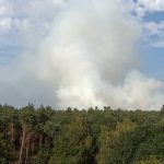 Forest fire spreads in southern Netherlands nature reserve, authorities say