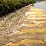 Drought exposes fossils and wartime shipwrecks along Danube River