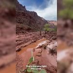 Flash flood hits Grand Canyon’s Phantom Ranch, more than 20 people missing