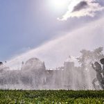 Germany reports record 14,000 heat-related deaths this year, official data shows