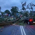 Storms and gales hit Poland: homes flooded, trees down and thousands of emergency callouts
