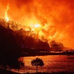Europe wildfires: German border town partially evacuated but France blaze stabilised