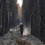 What tools does the EU have to fight wildfires? Are they enough?