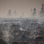 Firefighters pushing to ‘definitively encircle’ east Belgium wildfire, authorities say
