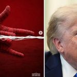 ‘Disney need to sue’: White House blasted over Spider-Man ICE campaign post