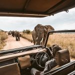 The ‘eBay of travel’: You can list your non-refundable holiday bookings on this resale platform