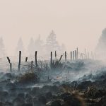 Belgium wildfire ‘encircled’ overnight but situation still ‘complicated,’ officials say
