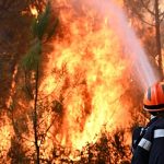Can the EU combat wildfires? Ask the Euronews AI chatbot
