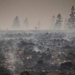 Fire of the century in eastern Belgium brought ‘under control,’ local official says