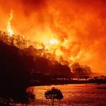 Wildfires continue to devastate Europe as thousands are forced to flee their homes