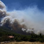 Wildfires in Europe: blazes continue to spread in France and Greece