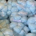 Alleged operator of major darknet drugs platform charged in Germany